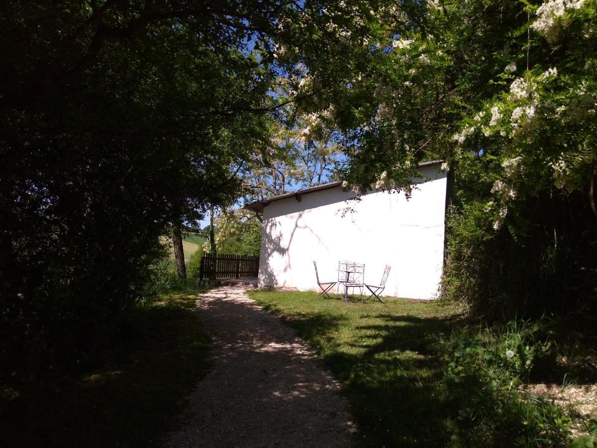 Gîte en pleine nature proche du lac de la Gimone Saint-Blancard Extérieur photo